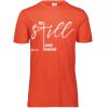 3065 Adult Extra Soft Tri-Blend T-Shirt Thumbnail